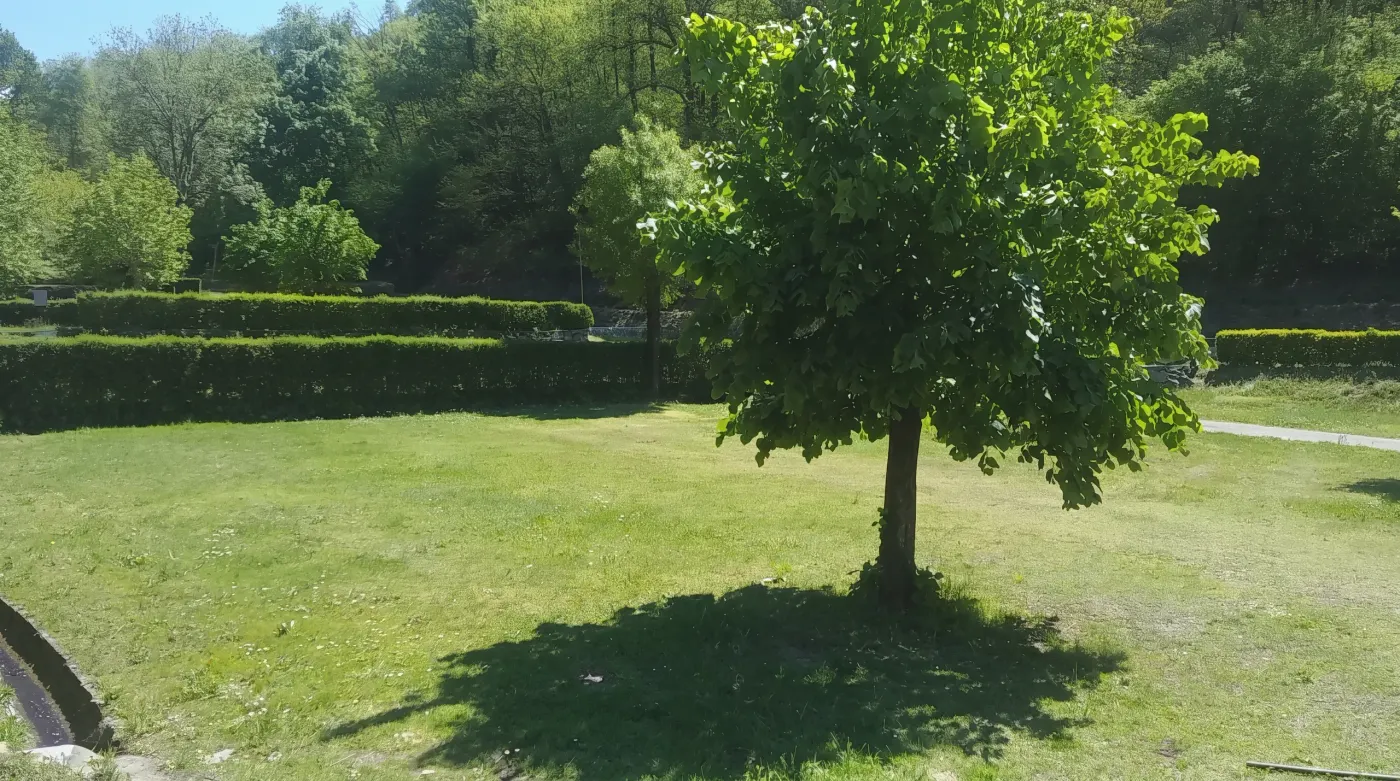 Piazzola nel verde con grande albero